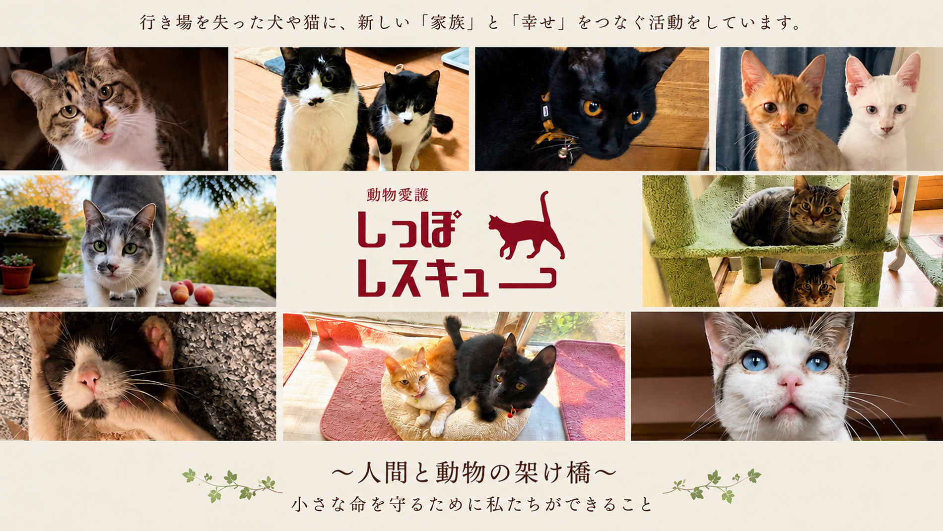 しっぽレスキュー